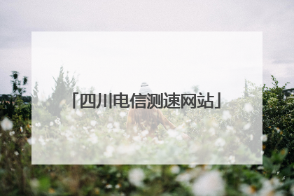 四川电信测速网站
