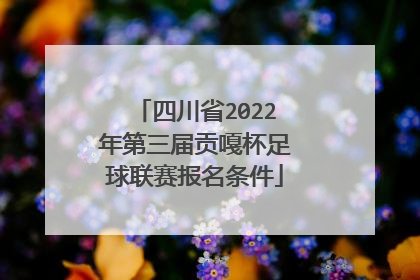 四川省2022年第三届贡嘎杯足球联赛报名条件