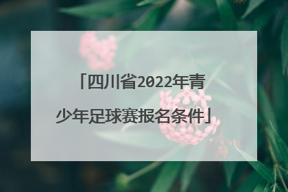 四川省2022年青少年足球赛报名条件