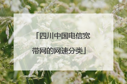 四川中国电信宽带网的网速分类