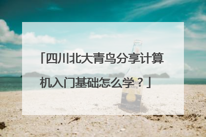 四川北大青鸟分享计算机入门基础怎么学?