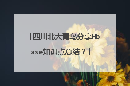 四川北大青鸟分享Hbase知识点总结？