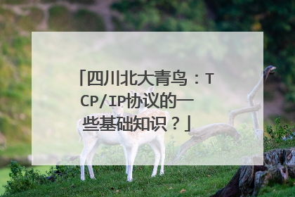 四川北大青鸟:TCP/IP协议的一些基础知识?