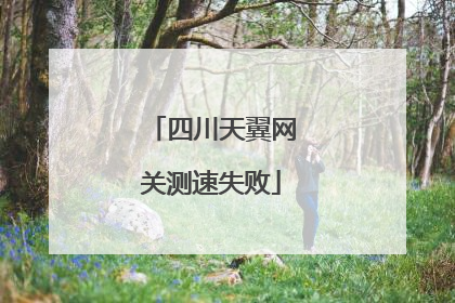 四川天翼网关测速失败