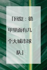 回复：德甲里面有几个大城市球队