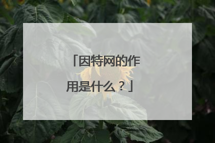 因特网的作用是什么？