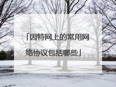 因特网上的常用网络协议包括哪些