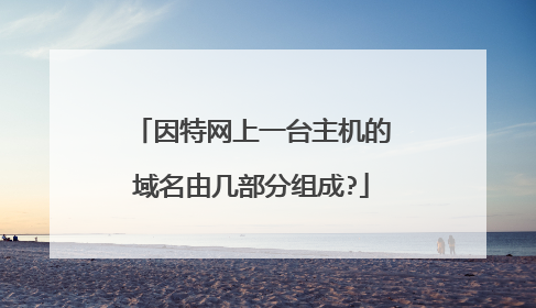 因特网上一台主机的域名由几部分组成?