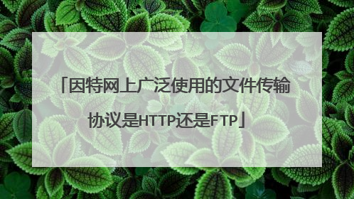 因特网上广泛使用的文件传输协议是HTTP还是FTP