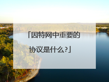 因特网中重要的协议是什么?