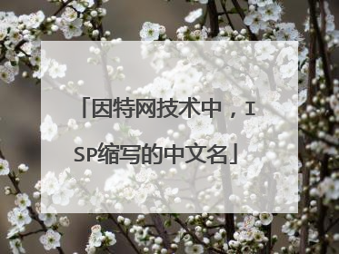 因特网技术中,ISP缩写的中文名
