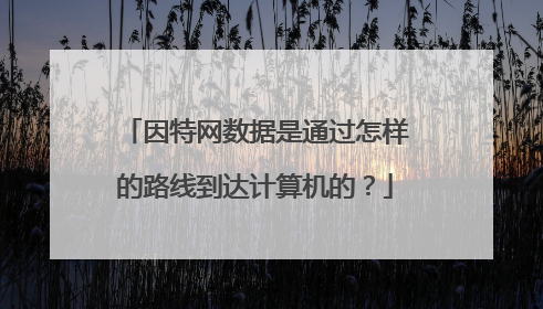 因特网数据是通过怎样的路线到达计算机的?
