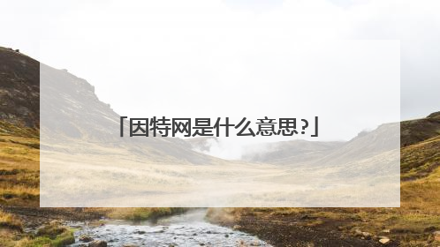 因特网是什么意思?