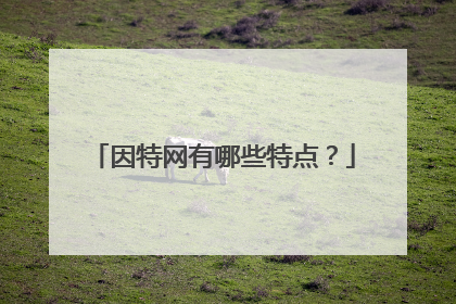 因特网有哪些特点?