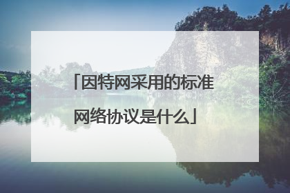 因特网采用的标准网络协议是什么