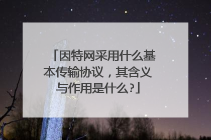 因特网采用什么基本传输协议,其含义与作用是什么?