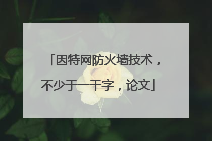 因特网防火墙技术，不少于一千字，论文