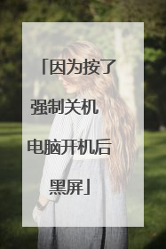 因为按了强制关机 电脑开机后黑屏