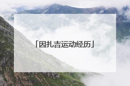 因扎吉运动经历