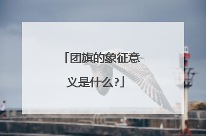 团旗的象征意义是什么?