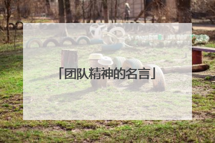 团队精神的名言