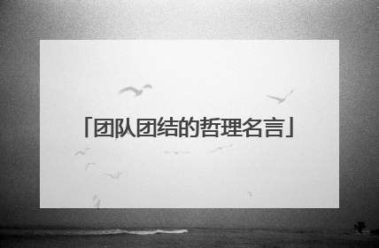 团队团结的哲理名言