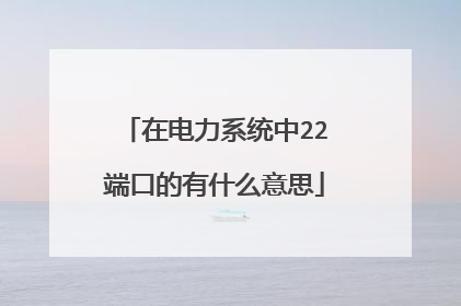 在电力系统中22端口的有什么意思