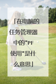 在电脑的任务管理器中的