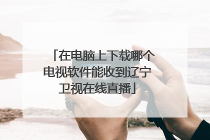 在电脑上下载哪个电视软件能收到辽宁卫视在线直播