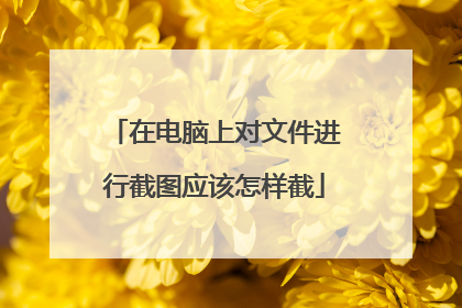 在电脑上对文件进行截图应该怎样截