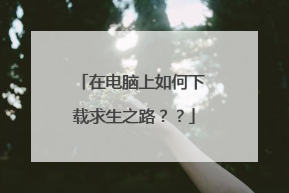 在电脑上如何下载求生之路？？