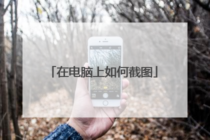 在电脑上如何截图