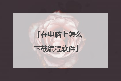 在电脑上怎么下载编程软件