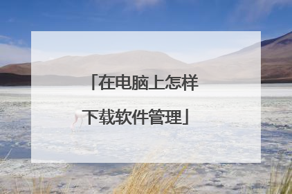 在电脑上怎样下载软件管理
