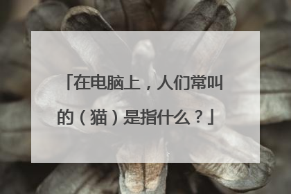 在电脑上，人们常叫的（猫）是指什么？