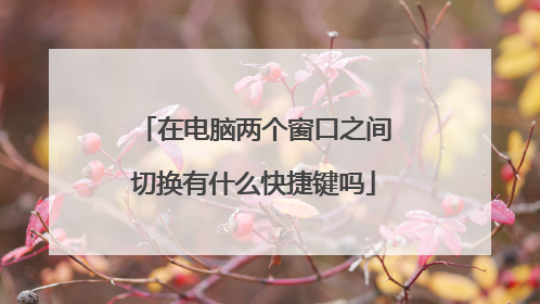 在电脑两个窗口之间切换有什么快捷键吗