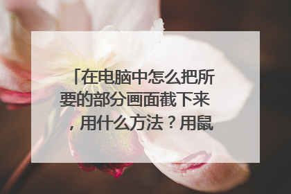 在电脑中怎么把所要的部分画面截下来，用什么方法？用鼠标能截图吗？