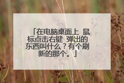 在电脑桌面上 鼠标点击右键 弹出的东西叫什么?有个刷新的那个。
