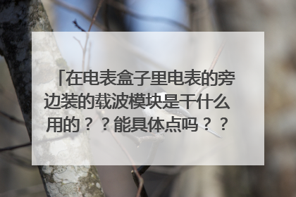在电表盒子里电表的旁边装的载波模块是干什么用的??能具体点吗?? 它防盗电吗?