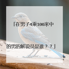 在男子4乘100米中的男的解说员是谁？？