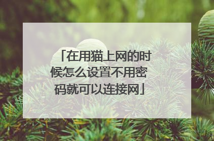 在用猫上网的时候怎么设置不用密码就可以连接网