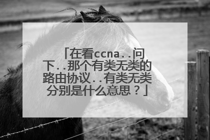 在看ccna..问下..那个有类无类的路由协议..有类无类分别是什么意思?