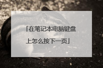 在笔记本电脑键盘上怎么按下一页