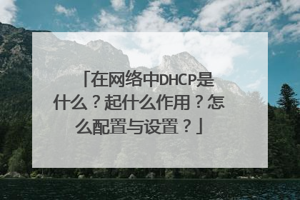 在网络中DHCP是什么？起什么作用？怎么配置与设置？