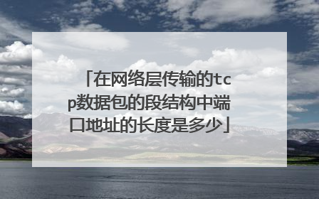 在网络层传输的tcp数据包的段结构中端口地址的长度是多少