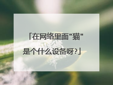 在网络里面