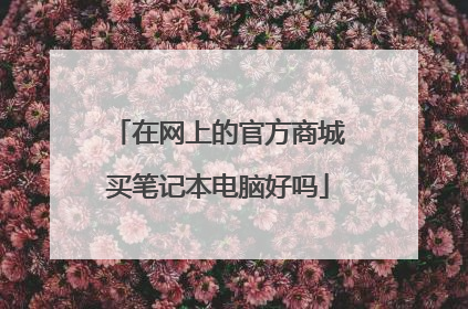在网上的官方商城买笔记本电脑好吗