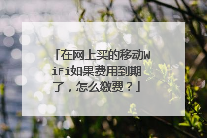 在网上买的移动WiFi如果费用到期了，怎么缴费？