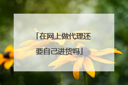 在网上做代理还要自己进货吗