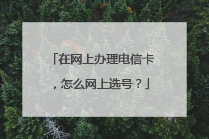 在网上办理电信卡，怎么网上选号？